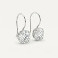 Earrings Hook Drop