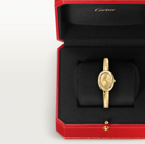 baignoire cartie watch