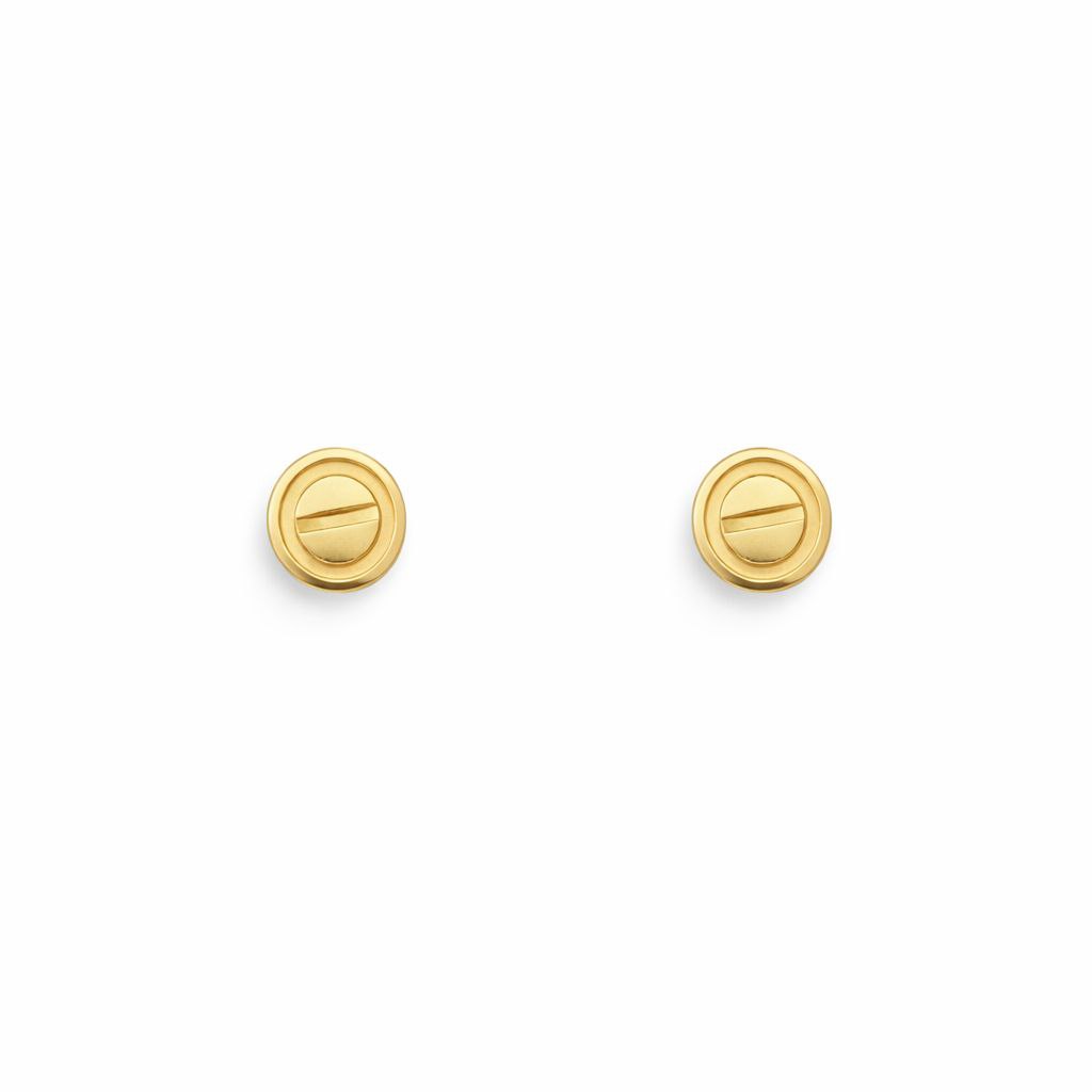 Classic Screw Stud Earrings